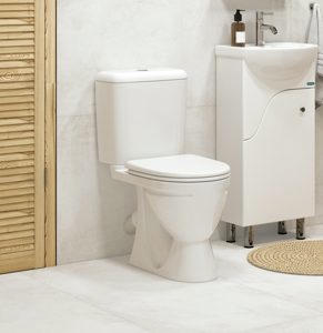 - Sanita C  WC.CC/Standart/2-DM/WHT.G/S1 